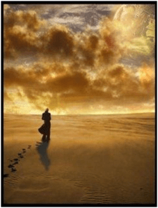 Nuestra mejor guía es seguir los impulsos que provienen del corazón.