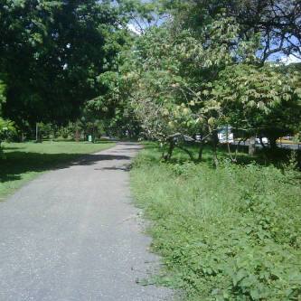 El camino a veces es muy claro, pero como es desconocido, nos da miedo.