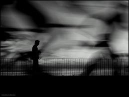 Nos sentimos perdidos cuando nos alejamos de la claridad y entramos en pasajes oscuros llenos de lecciones.