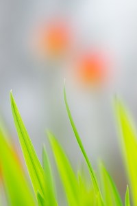 La presencia de Dios es muy sutil y está en todas partes, corresponde prestar más atención.