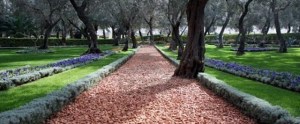 El camino arcilloso del jardín del templo solo posee las huellas de la apreciación y la auto-observación.