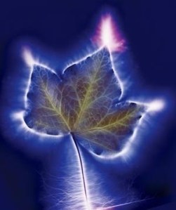 La luz de la grandeza está dentro de cada uno de nosotros, solo debemos SER para hacerla brillar