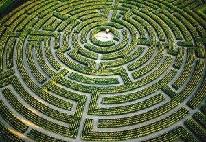 Siempre es más sencillo resolver el laberinto si lo vemos desde arriba. Eleva tu consciencia.