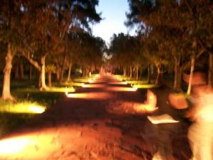 Saber y decir que sabemos lo que "NO queremos" es como andar por un camino con la visión muy borrosa.