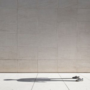 Estamos rodeados de SERES y solemos no prestarles atención, como si fueran invisibles.