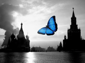 Es solo prestando atención que podemos hacernos conscientes de la belleza de todas nuestas relaciones.