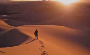 Para transformarte es necesario que atravieses algunos desiertos en los que te sientas en soledad.