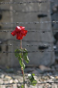 Todos sin excepción tenemos la capacidad de superar nuestros "problemas".