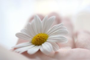 Solo confía que todo va según el plan.