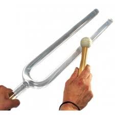 Igual que las ondas de un diapason viajan por el aire generando sonido, nuestras emociones salen de nosotros creando nuestra realidad.