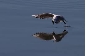 Entender que lo que está afuera no es más que un reflejo de lo que está dentro require de mucha valentía.