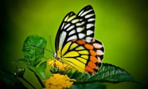 Se todlo aquello que puedes llegar a SER.