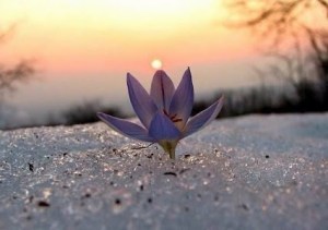 La luz aparece solo cuando podemos mirar a los egos y entender su función. Solo así, luego de entender, avanzamos.