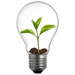 Tu sistema de valoración es algo que debes tener escrito y revisarlo a diario. No basta con decir "Tal cosa es importante..."