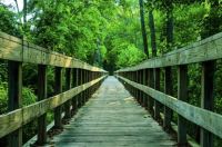 El camino era muy tentador y decidieron aventurarse.