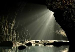 La salida está en la acción consciente de que el miedo es una ilusión del pensamiento. Lo demás es luz.