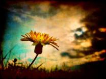 Es solo cuando nos rendimos que podemos recibir los regalos que nos merecemos.