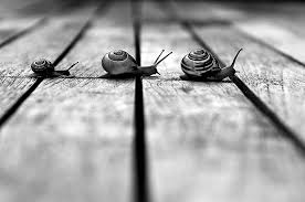 No es no avanzar, es hacerlo a la velocidad adecuada.