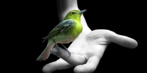 Abrir nuestro corazón exige que dejemos atrás viejos hábitos y confiemos en la nueva manera de pensar.