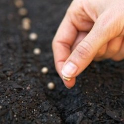 Cada contacto personal es una oportunidad de plantar semillas de luz para el crecimiento.