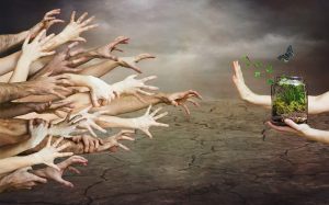 Serena los ruidos de tu mente y la conexión se abrirá por sí sola.