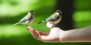 Aprendes a confiar cuando dejas de tener miedo.