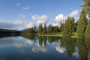 Aunque el lago esté en calma, no quiere decir que no esté ocurriendo nada.