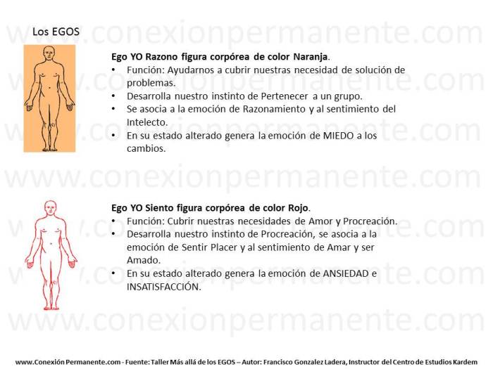 diapositiva3