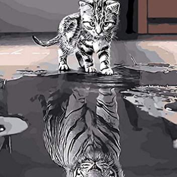 Accion 8 todo es un reflejo