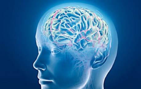 Sutileza en la evolucion