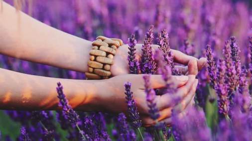 de sentir a percibir