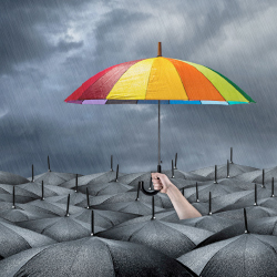 La importancia de los problemas