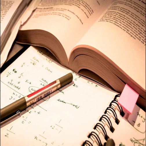 Estudios y mas estudios