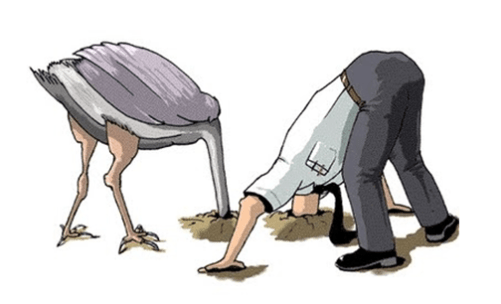 Evidencias evidentes