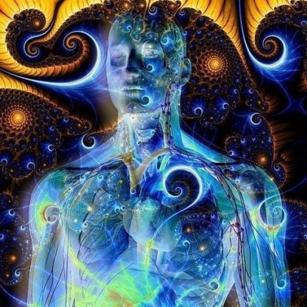 La verdadera transformacion