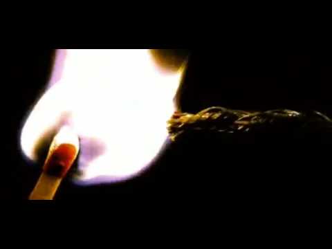 Tu misio si decides aceptarla