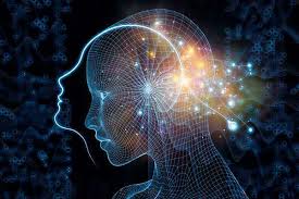 Consciencias que evolucionan