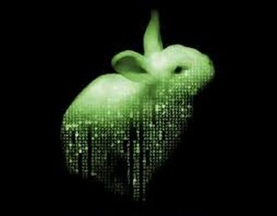 Sigue al conejo blanco