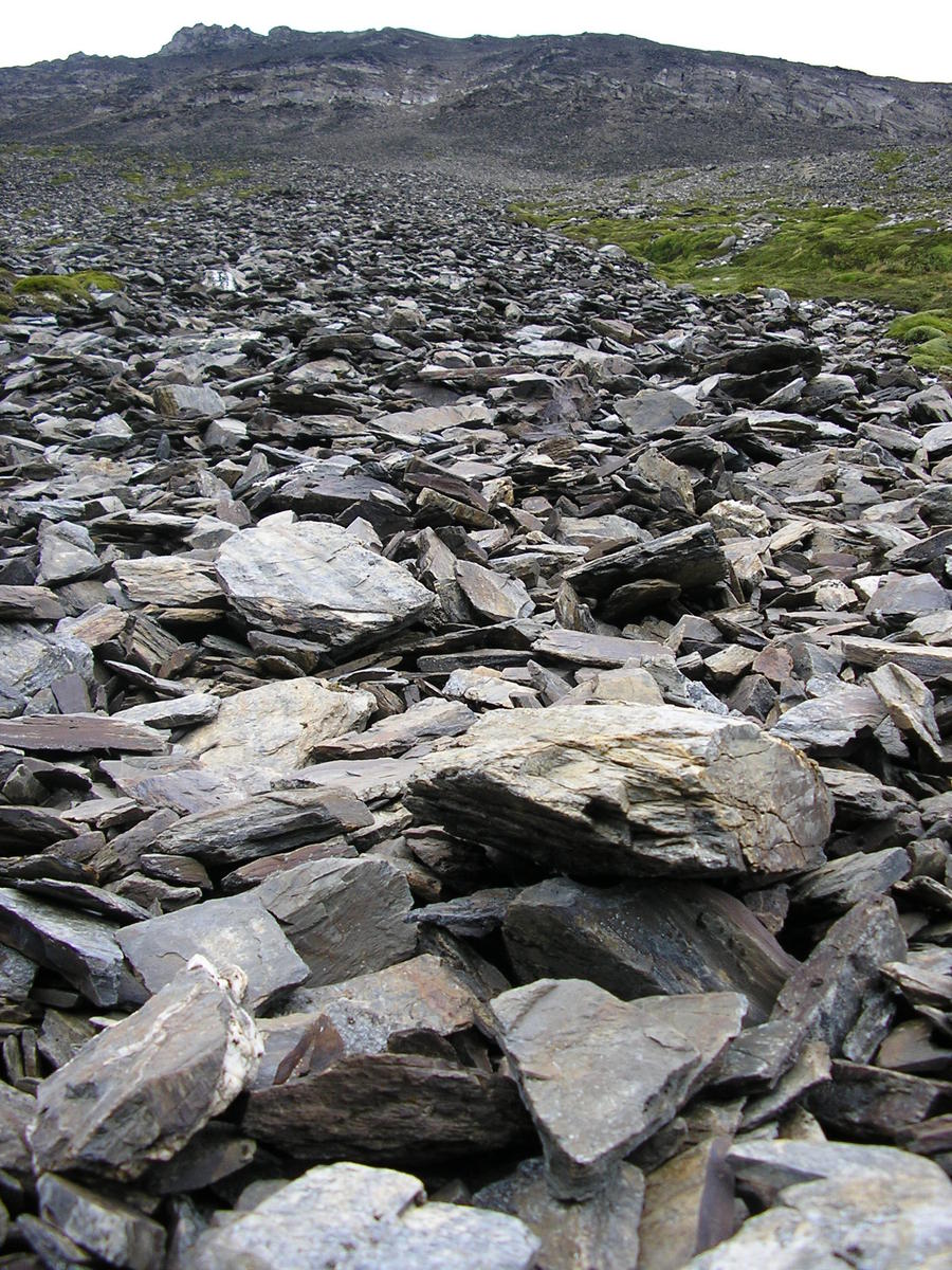 Lección Esencial VII