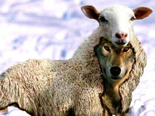 Transmitiendo el mensaje