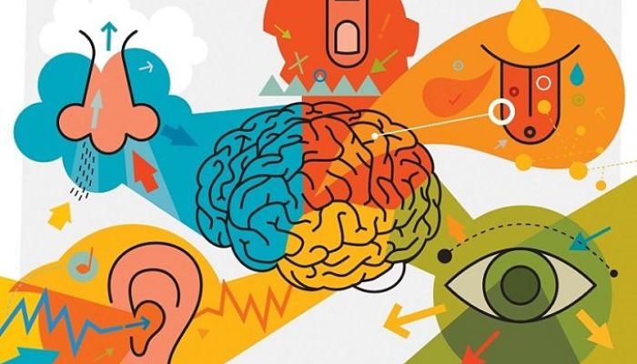 Ejercicio de conexion iii