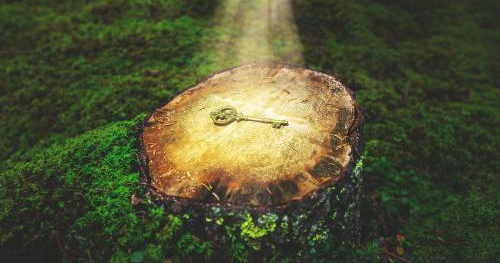 Conocernos en profundidad